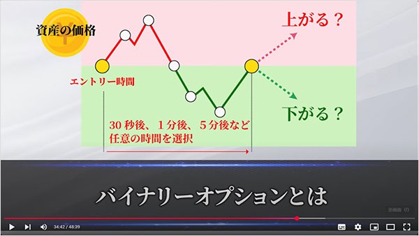 大川智宏のSONICの投資内容